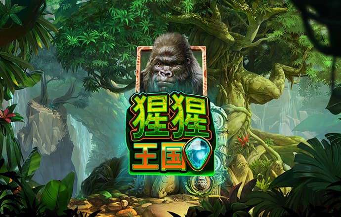 金年会娱乐网址